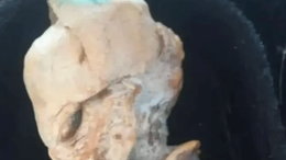 Görenleri hayrete düşüren keşif! Çekik gözleri ve uzun kafasına bakan bir daha baktı