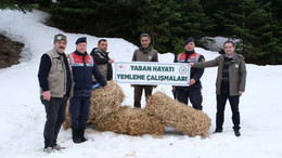 Jandarma ekiplerinden içleri ısıtan çalışma! 3 Mart'ta yaban hayvanları unutulmadı