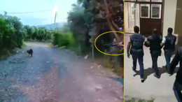 Sokak köpeğini tüfekle öldürmüştü! Yakalandı…