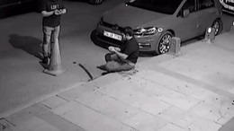 Gözü dönmüş kardeş, ağabeyine acımadı!