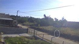 Sokak köpekleri kadına böyle saldırdı!