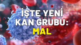 Duyanlar şaşırıp kalıyor. Bilim adamları keşfetti. İşte yeni kan grubu: MAL