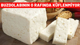 Meslek sırrını açıkladı. Meğer peyniri dolabın o rafına koyarsak küflenmiyormuş