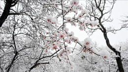 La Nina nedir, ne demek? Uzmanlar uyardı! Türkiye'de La Nina soğukları görülecek mi, ne zaman gelecek?