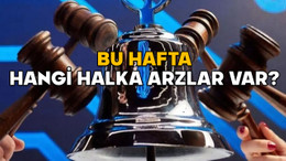 HALKA ARZ TAKVİMİ 10-14 ŞUBAT 2025 | Bu hafta hangi halka arzlar var?