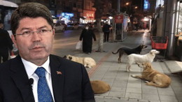 Ölümlü köpek saldırılarına görevi ihmal soruşturması