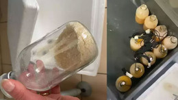 Yetkisiz gen tedavisi laboratuvarı mühürlendi! Olay savcılığa taşındı