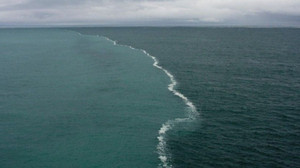 Gemi Faciası! Susuz ve gıdasız kalan 47 kişi hayatını kaybetti!