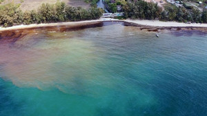 Tayland'da petrol sızıntısı!