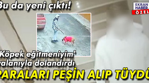 Bu da yeni çıktı! 'Köpek eğitmeniyim' yalanıyla dolandırdı: Paraları peşin alıp tüydü