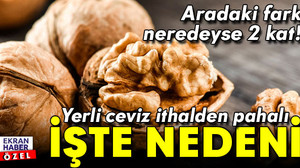 Yerli ceviz ithalden daha pahalı!