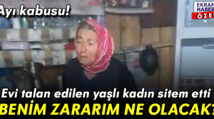 Ayı kabusu! Evi talan edilen yaşlı kadın sitem etti: Benim zararım ne olacak?