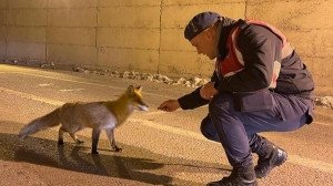 Van'da yürekleri ısıtan görüntüler