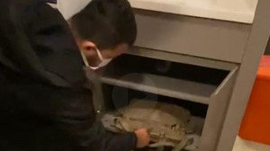 'İthal hırsız'! Hırsızlık yapmak için İstanbul'a geldi!