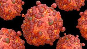 Maymun Çiçeği Virüsü Nedir, Nasıl Bulaşır? Maymun Çiçeği Virüsü (Mpox) Belirtileri Neler?