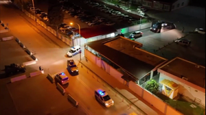 22 ilde PKK’ya operasyon: 239 gözaltı