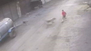 Adana'da çocuk sokak köpeklerin saldırısına uğradı