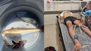 Marmara'da oltasına takıldı, ölümden döndü!