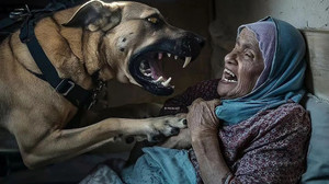 İsrail asker köpeğinin saldırdığı Filistinli yaşlı kadın anlattı
