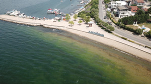 İzmit Körfezi'nde müsilaj korkusu!