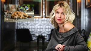 Derin Mermerci'den Erdoğan çiftine: Sizi yanıltıyorlar!