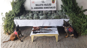 Jandarmadan şok operasyon: Çok miktarda esrar ele geçirildi