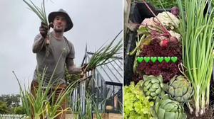 David Beckham: Yeşil sahadan yeşil bahçeye