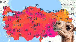 31, 29, 33, 37. Vizeyi aldı. Geri geliyor