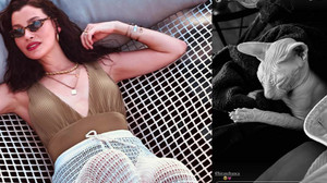 Müjde Uzman'dan kedi aracılığıyla aşk ilanı