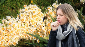 Hz. Ali bile tavsiye etmiş! Nergis çiçeğinin bu faydasını duyunca almak için acele edeceksiniz