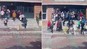 Okul bahçesine giren köpek dehşet saçtı: 5'i öğrenci 6 kişi yaralandı