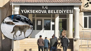 Yüksekova Belediyesi'ne soruşturma: Eksikler rapora girdi