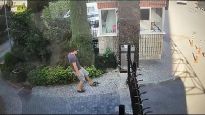 Kedi dakikalarca şiddete maruz kaldı