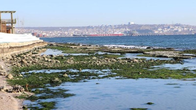 Tekirdağ'da deniz 25 metre çekildi