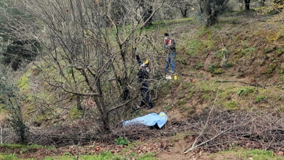 Budamak için çıktığı ağaçtan düştü; hayatını kaybetti