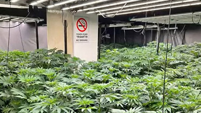 İstanbul’da uyuşturucu operasyonu: 241 kg esrar, 1550 kök kenevir ele geçirildi