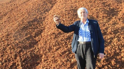 Kömür fiyatları arttı, çam fıstığı kabukları değerlendi