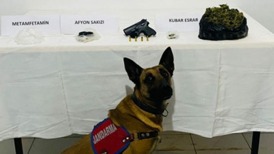 Zuladaki uyuşturucu Jandarma Narkotik Köpeği Yatkın'dan kaçmadı!