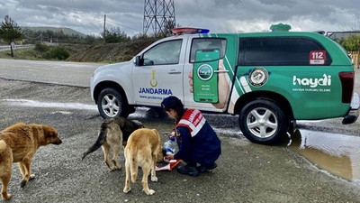 Jandarma can dostlarımızı yalnız bırakmadı