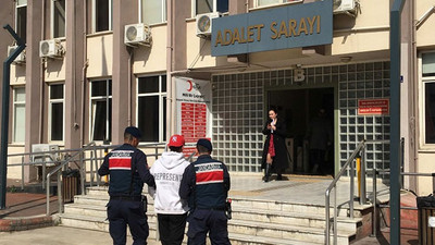 Jandarmanın yakaladığı hırsız tutuklandı