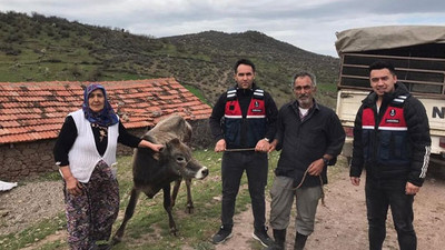 JASAT’tan hayvan hırsızlarına operasyon: 3 şüpheli kıskıvrak paketlendi