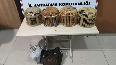 Kaçak avcılar jandarmaya takıldı