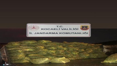 Kaçakçılar jandarmaya takıldı! 10 ton midye ele geçirildi