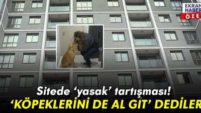 Sitede ‘yasak’ tartışması! ‘Köpeklerini de al git’ dediler