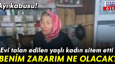 Ayı kabusu! Evi talan edilen yaşlı kadın sitem etti: Benim zararım ne olacak?