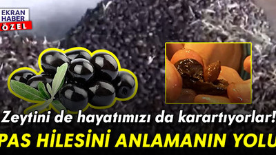 Zeytini de hayatımızı da karartıyorlar! Pas hilesi nasıl anlaşılır?