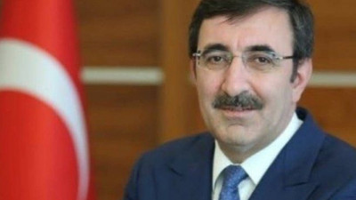 Cumhurbaşkanı Yardımcısı Cevdet Yılmaz kimdir?