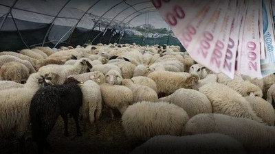 Emekli bayram ikramiyesi ne zaman yatacak? Emekli bayram ikramiyesi ne kadar?