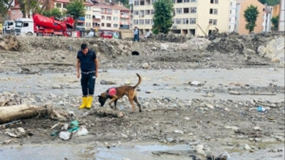 Duygu Öğretmenin köpeği 'Bozkurt' sahiplenildi!