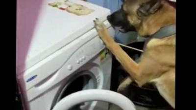 Bursa Emniyetinden kilo kilo esrar operasyonu!